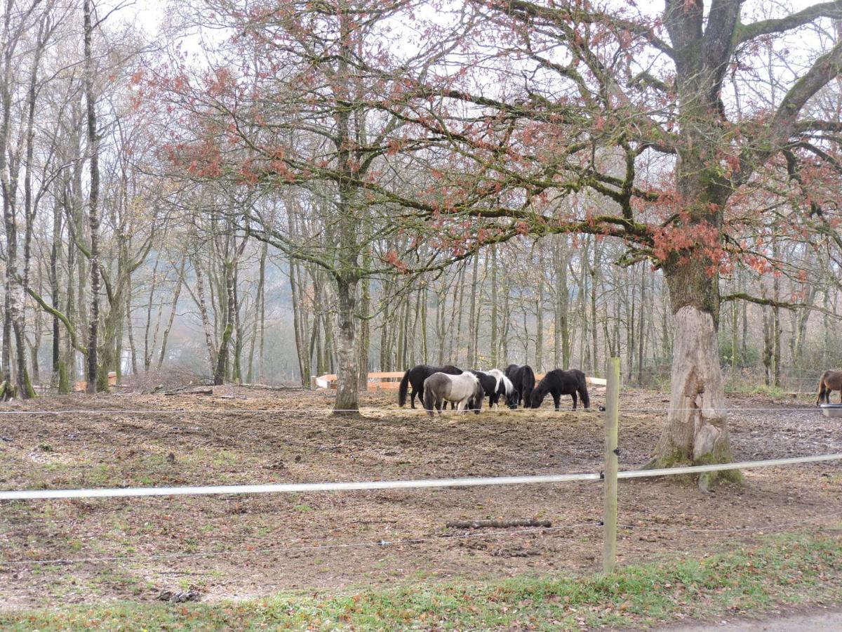 Domaine Du Bois Du Loup Apartment Saint-Agnan  Luaran gambar